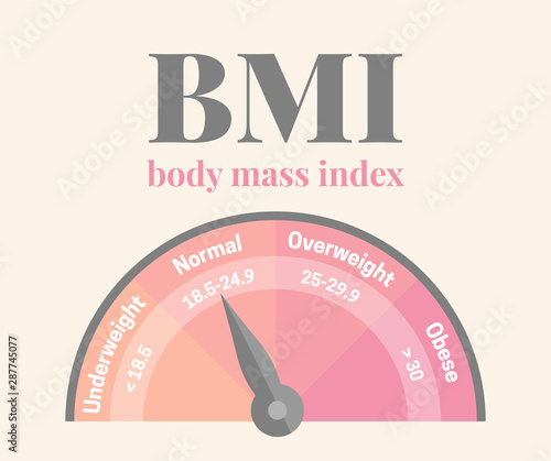 BMI Body Mass Index Feminine Pink Infographic Vector Illustration for Weight Loss or Gain