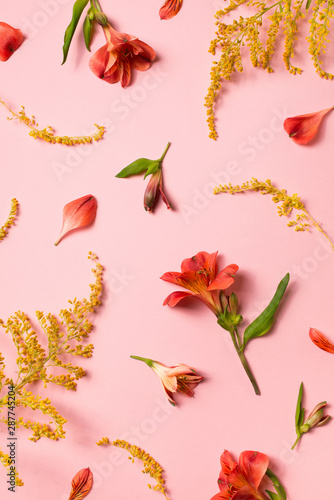 Beauty flowers flat lay with red alstroemeria frame on pink background © Denira