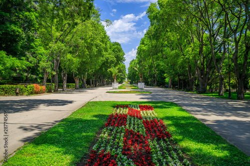 Spring in sea Garden Park, Varna Bulgaria