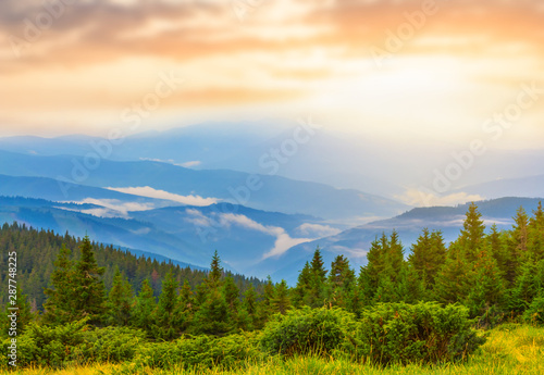 mountain valley with forest in a blue mist at the sunset