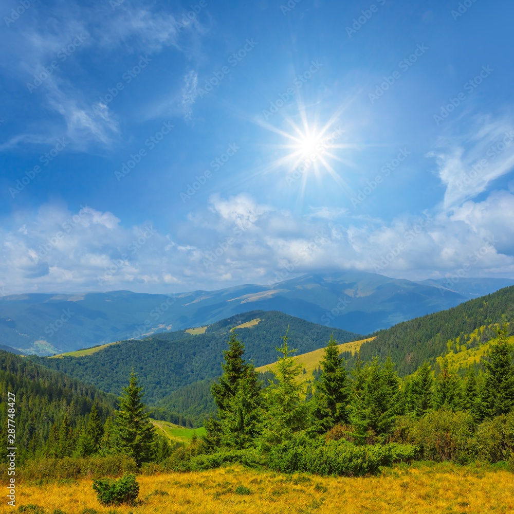 green mountain landscape at the sunny day green mountain landscape at the sunny day