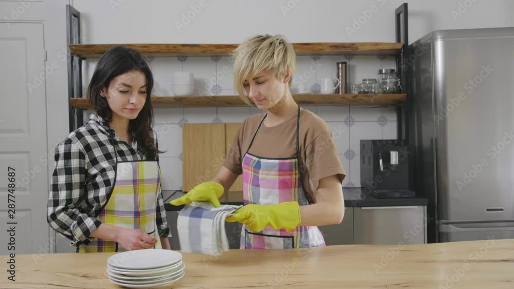 Lesbian Women Doing Chores And Dish Washing Together Lesbian Women Doing Chores And Dish Washing Together