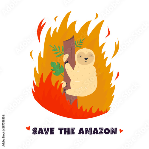 Amazonian forest in fire. Sloth in flame.