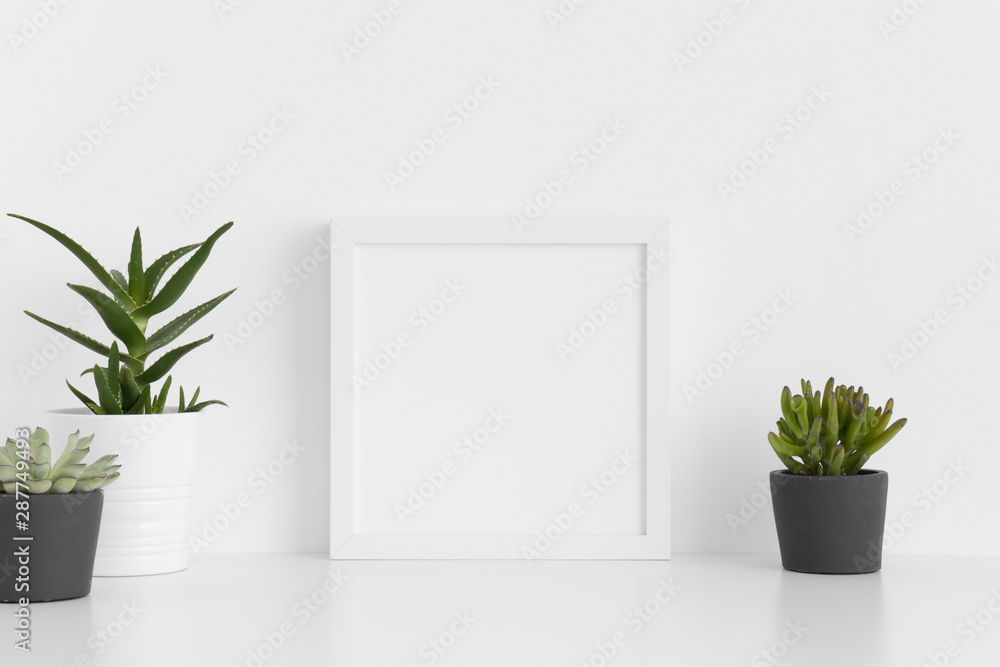White square frame mockup with a various types of succulent plants on a white table.