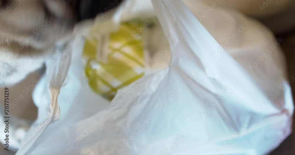 Pug dog meeting the owner, sniffing bags with food on the doorstep Pug dog meeting the owner, sniffing bags with food on the doorstep