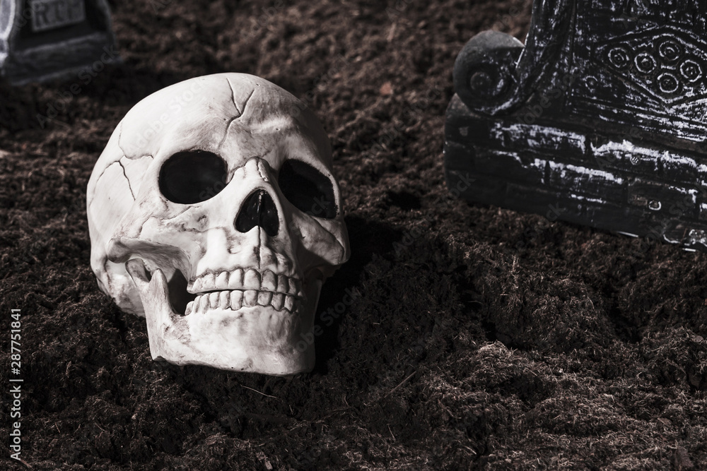 Creepy human skull at cemetery on Halloween night Creepy human skull at cemetery on Halloween night
