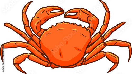 Cute and funny orange crab from top view in cartoon style