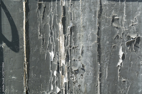 Fotografie Peeling paint on a old wooden door surface