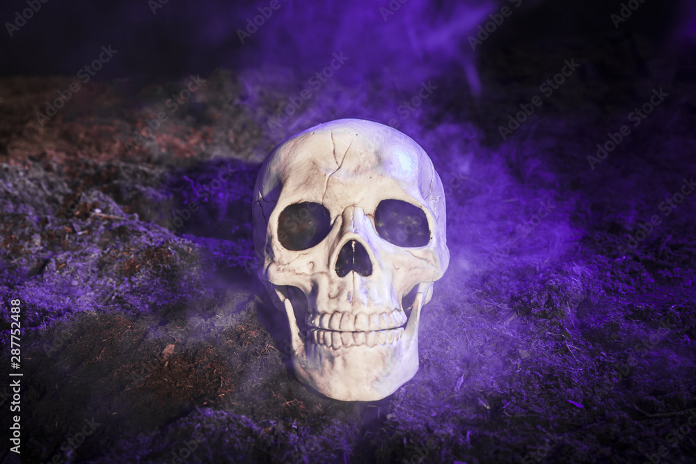 Gloomy skull in blue fog on ground