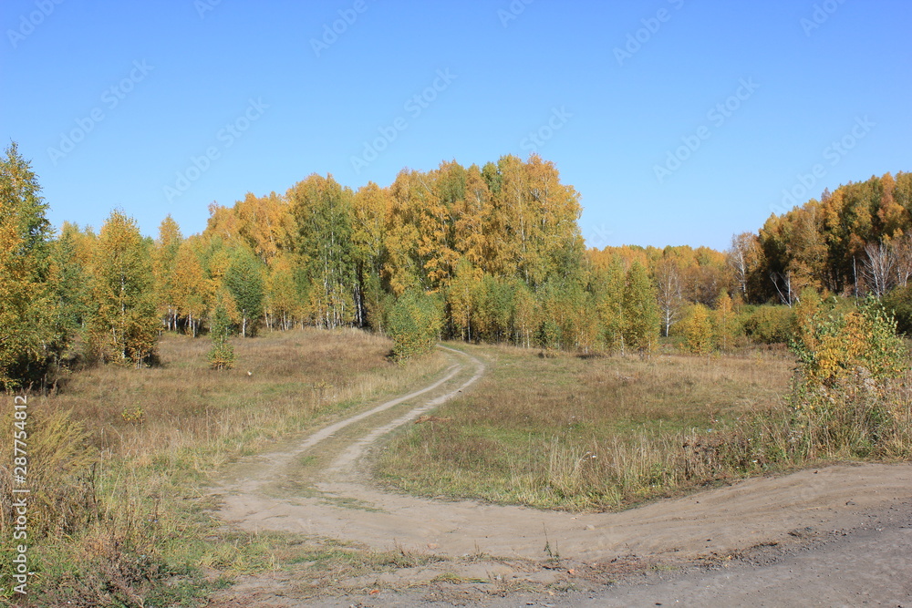 Fototapeta premium Nature