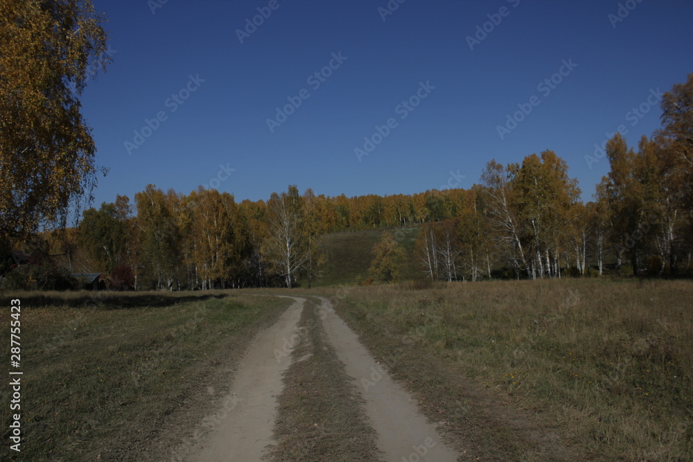 Fototapeta premium Nature