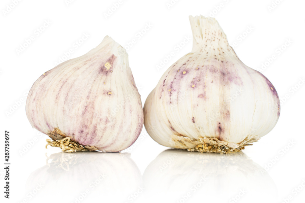 Fototapeta premium Group of two whole organic white garlic allium sativum isolated on white background