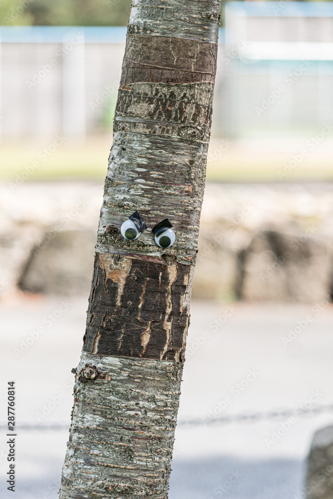 Fototapeta premium Googly eyes on an angry tree.