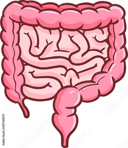 Cute and funny colon or intestine in cartoon style