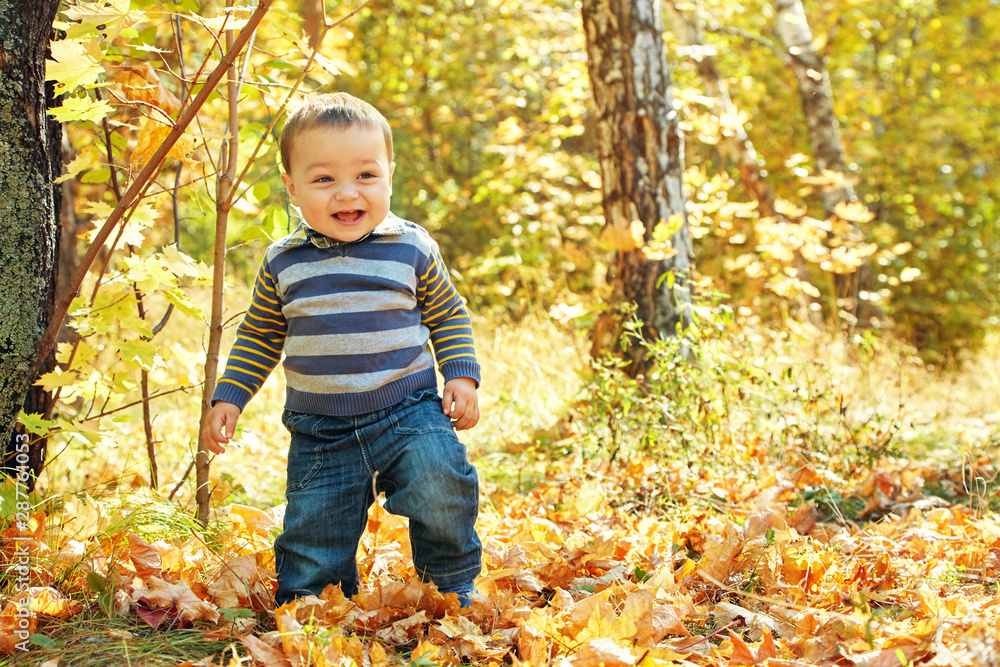 outdoor portrait of baby in an autumn park. walking little boy. outdoor portrait of baby in an autumn park. walking little boy.