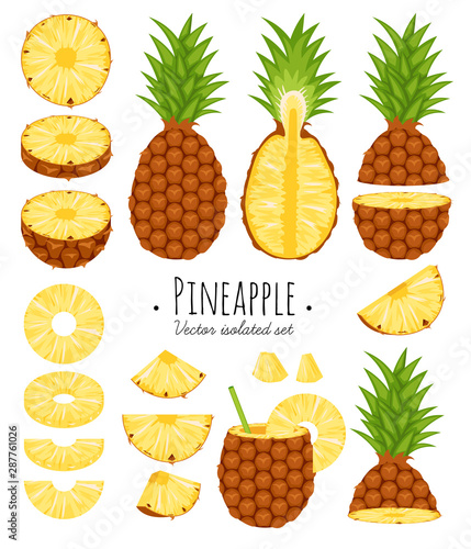 Set of pineapple in cartoon realistic and flat styles vector format isolated on white