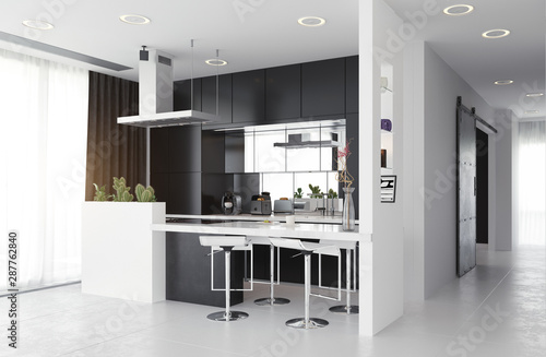 modern kitchen black&white interior.