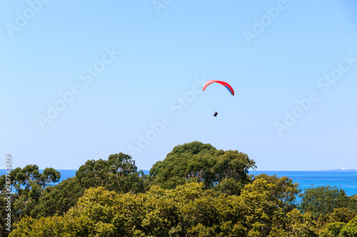 paragliding over beautiful sea and trees.