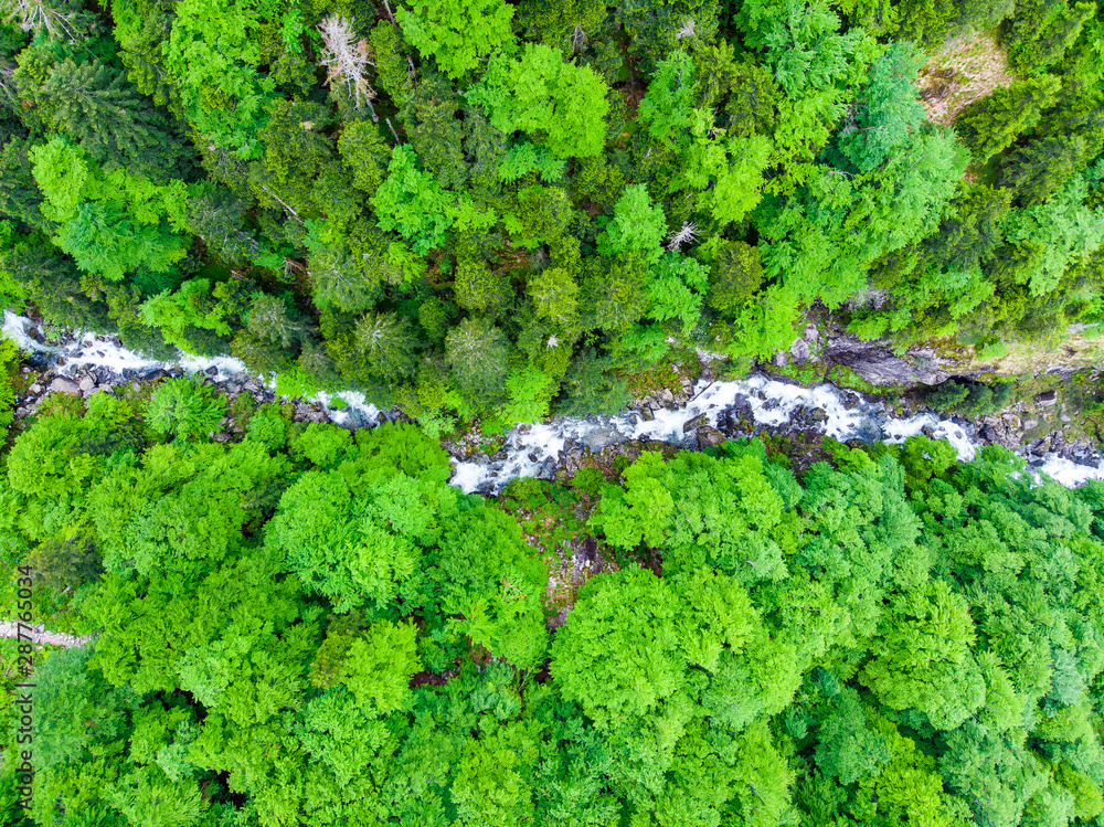 Fototapeta river flowing in the forest. Aerial view