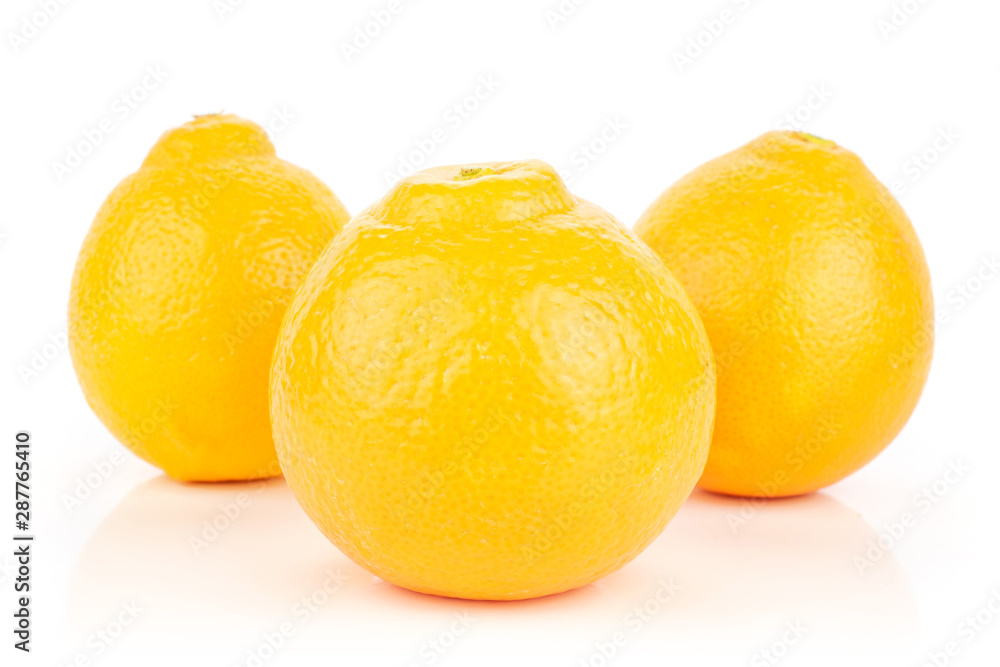 Group of three whole fresh orange tangelo minneola isolated on white background Group of three whole fresh orange tangelo minneola isolated on white background