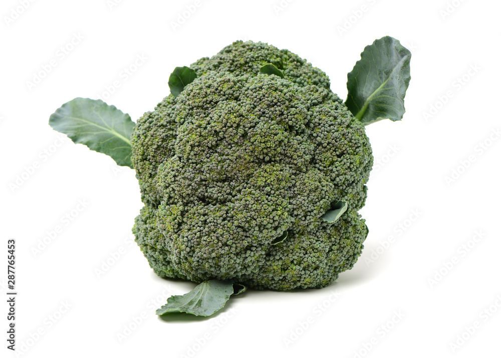 Broccoli vegetable on white background Broccoli vegetable on white background