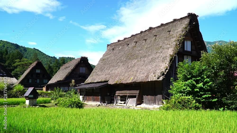 夏の白川郷 夏の白川郷