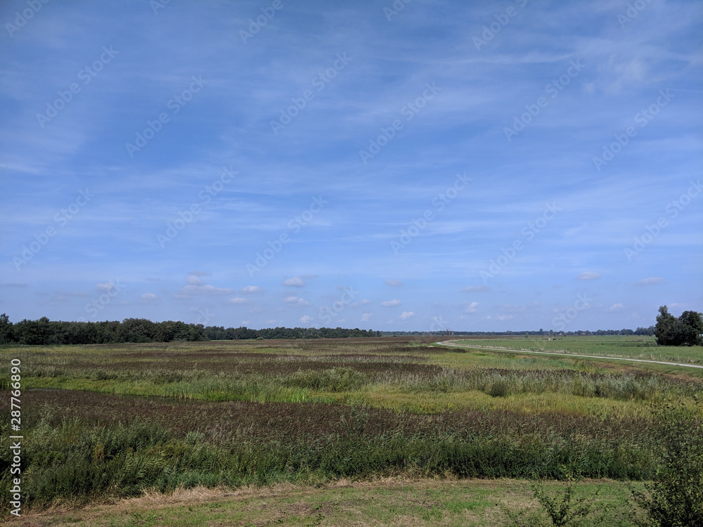 Landscape around Muggenbeet in Overijssel