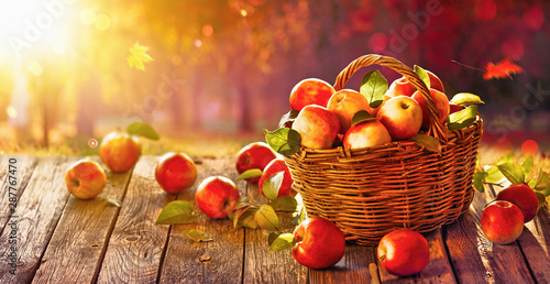 Apples in a Basket Outdoor....