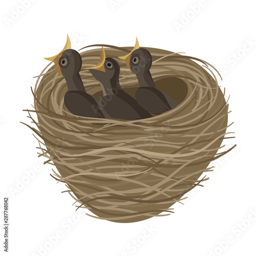 Cartoon bird's nest with chicks. Vector illustration for children. Springtime.
