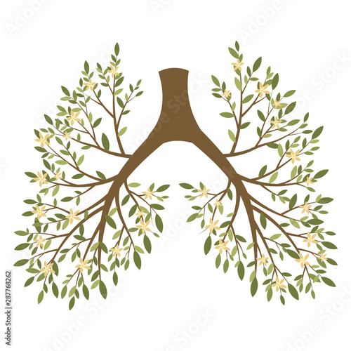 Human lungs. Respiratory system. Healthy lungs. Light in the form of a tree. Line art. Drawing by hand. Medicine.