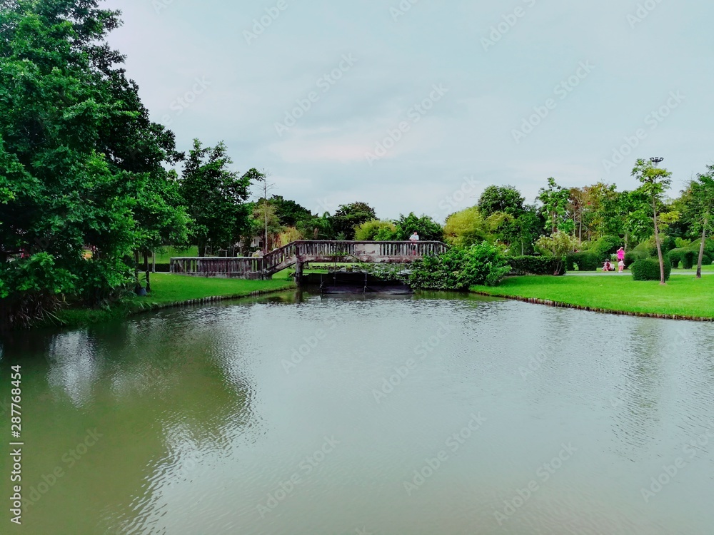 Fototapeta premium lake in the park