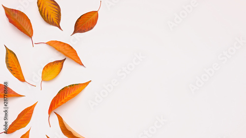 Creative frame of bright fallen autumn leaves on white