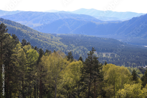 boundless expanses of the Siberian taiga