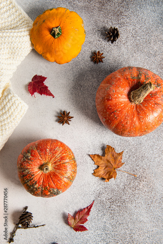 Thanksgiving background: pumpkins, knitted plaid and fallen leaves on grey background. Copy space for text. Halloween, Thanksgiving day or seasonal autumnal. Design mock up. Cozy fall, top view