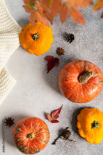 Pumpkins, knitted sweater, dried leaves on grey background. Autumn, fall, halloween concept. Flat lay, top view, copy space