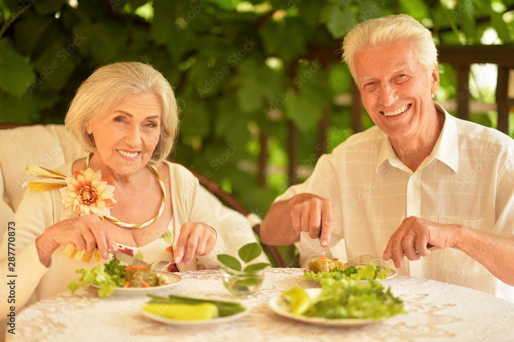 Portrait of happy senior couple having diner in the summer park