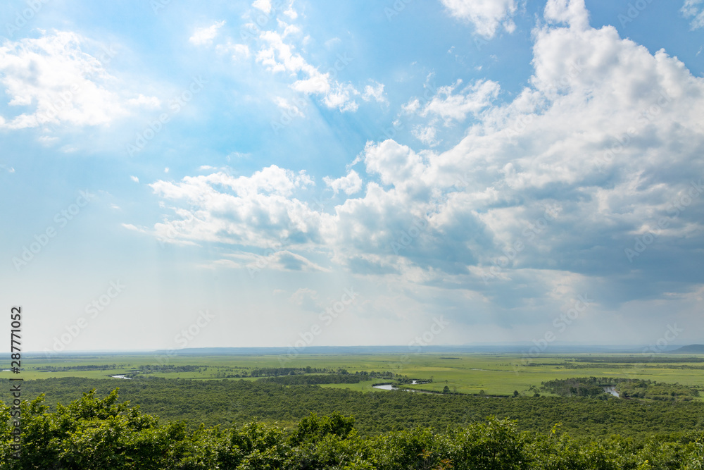 Obraz premium 釧路湿原