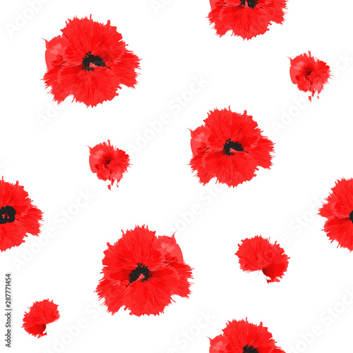 Seamless pattern of isolated poppies flowers on a white background. Steele watercolor. Illustration. Red spots.