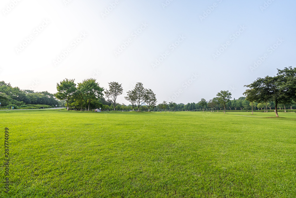 green lawn green lawn