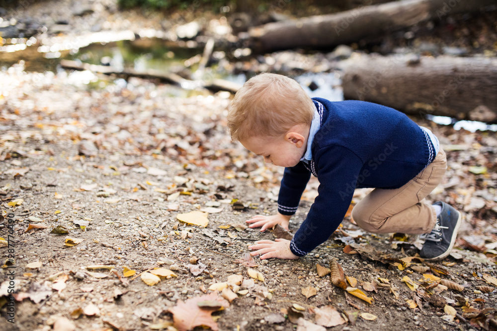 Small toddler boy in autumn forest, playing. Copy space. Small toddler boy in autumn forest, playing. Copy space.