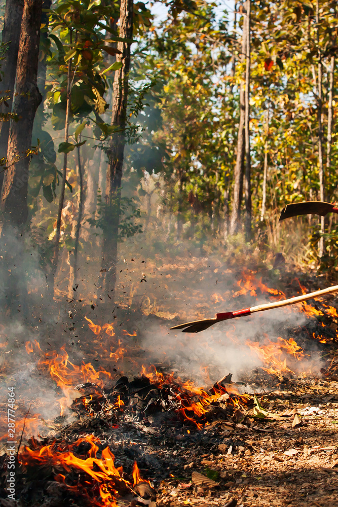 Two asian firefighters battle a wildfire. Two asian firefighters battle a wildfire.