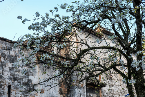 Wallpaper Mural Chinese,traditional,huizhou,architecture,landscape Torontodigital.ca