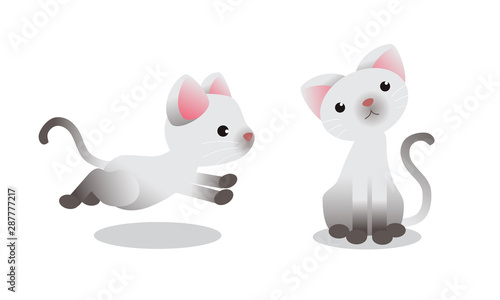 cute cat playful. several motion. vector illustration isolated cartoon