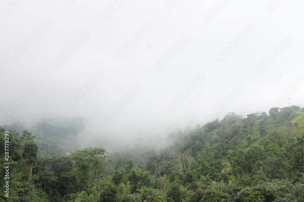 fog in the mountains fog in the mountains
