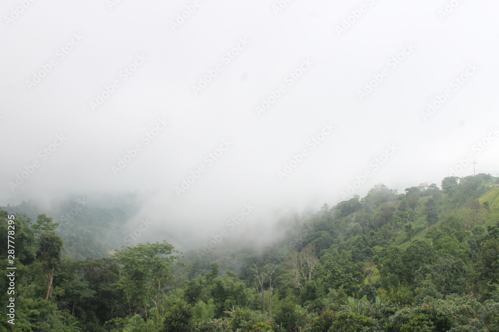 fog in the mountains