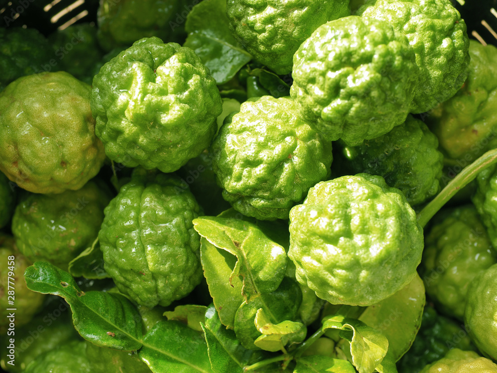 Fototapeta premium Thai Bergamot Kaffir Lime in the basket 