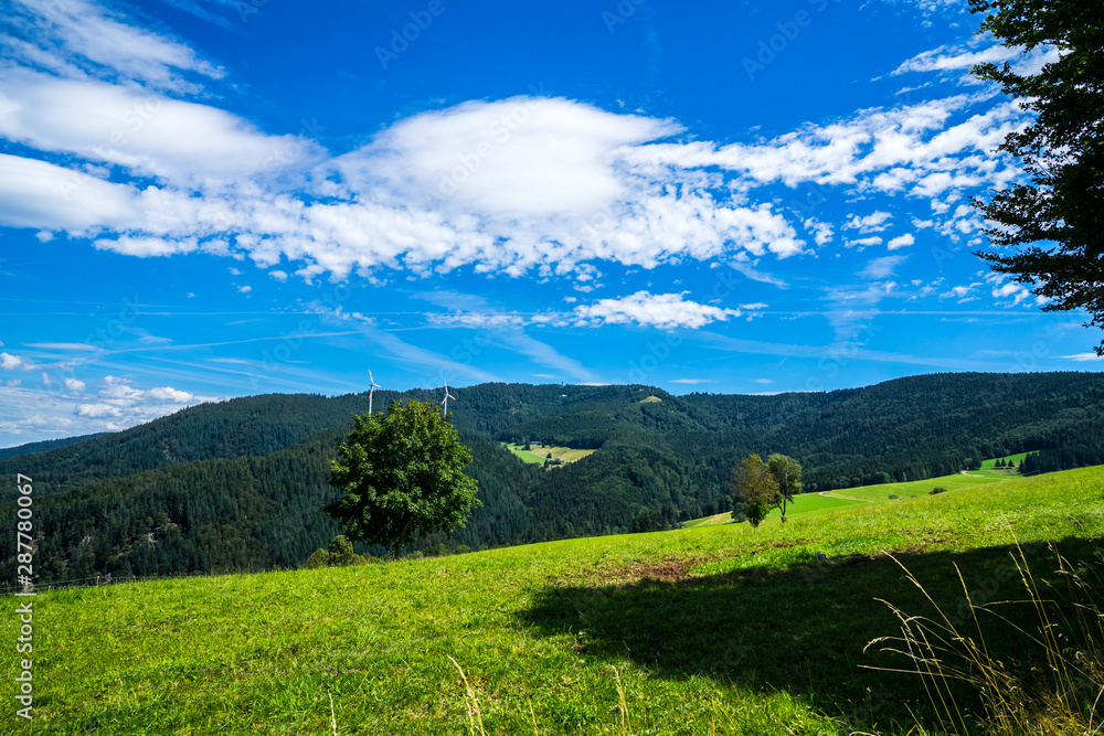 Germany, View to peak of schauinsland mountain in black forest nature landscape near freiburg im breisgau in summer with blue sky, perfect for hiking