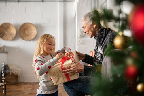 Bilde på lerret Grandmother giving xmas present to granddaughter
