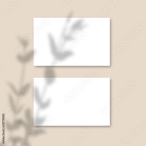 Shadow Overlay Plant Vector Mockup horizontal business Card. Vector Realistic shadows overlays leaf on pink background. Template Flyer, Card, blank, social media post, logo in minimal trendy style.