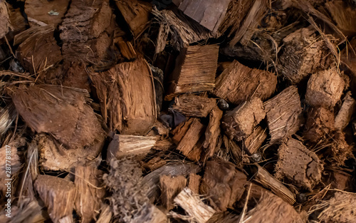 Background of wood chips for fertilizer